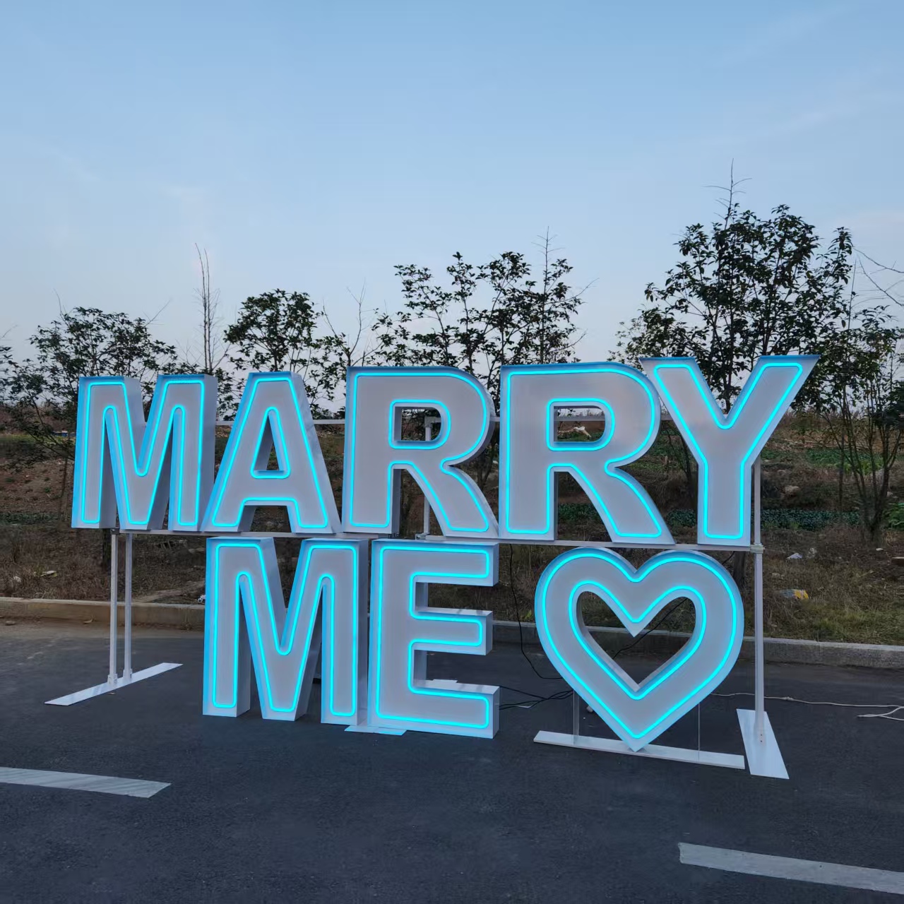 MARRY ME Metalen RGB LED Neonr - Event Party Supply Rental recensie en prijs